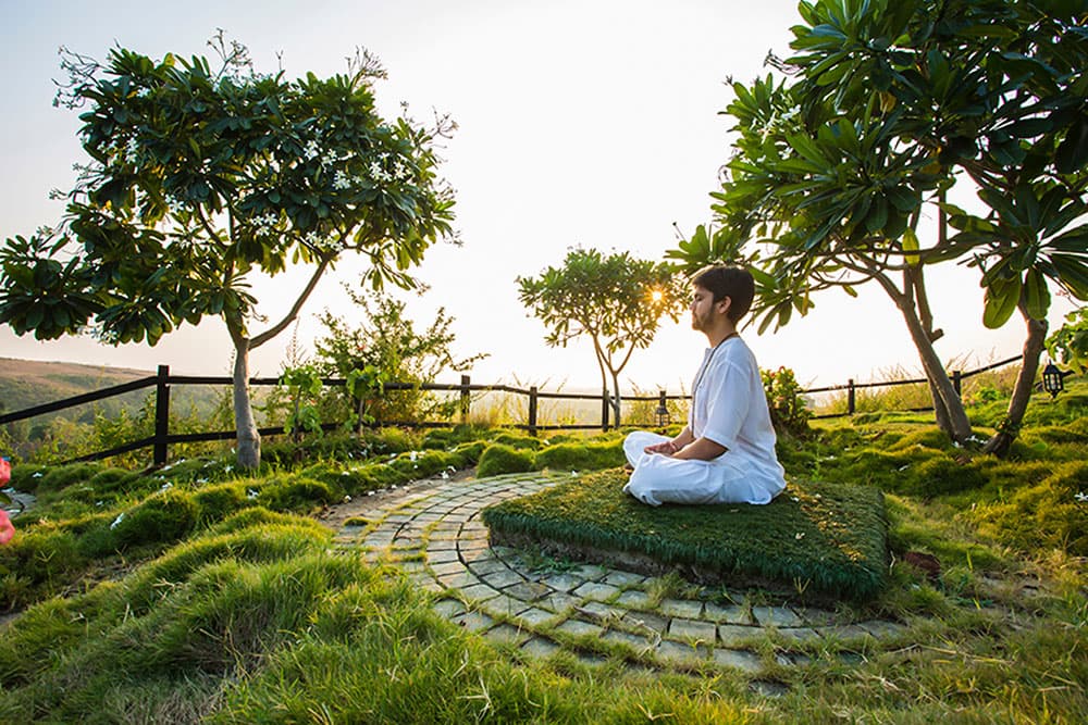 Meditation